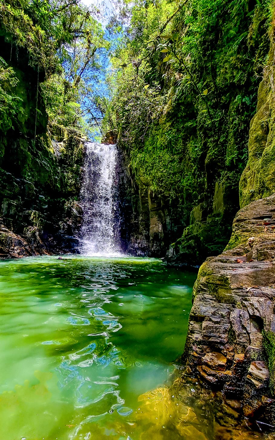 Aventura Grão Pará 10