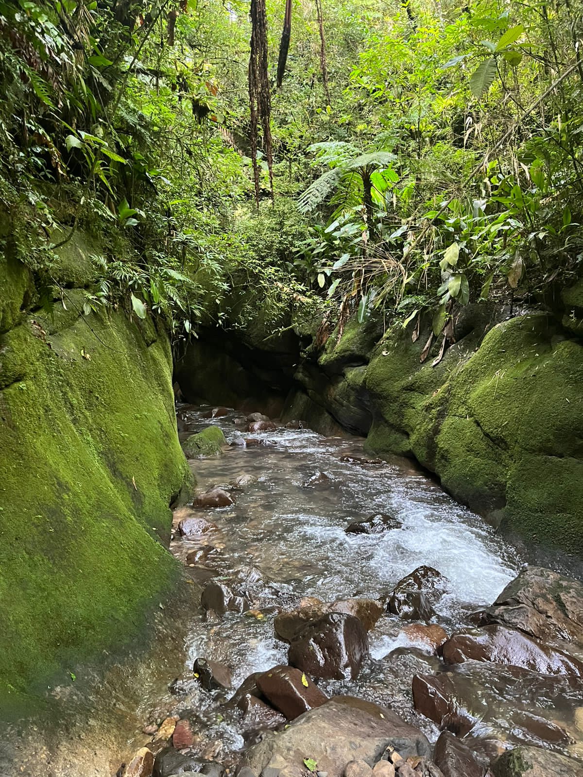 Aventura Grão Pará 2